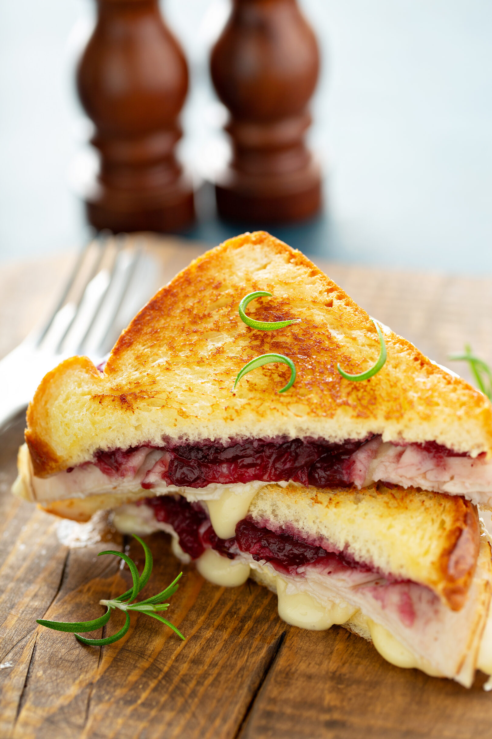 Grilled cheese with turkey and cranberry sauce Blueberry & Balsamic Grilled Cheese Sandwich